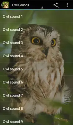 Owl Sounds android App screenshot 0